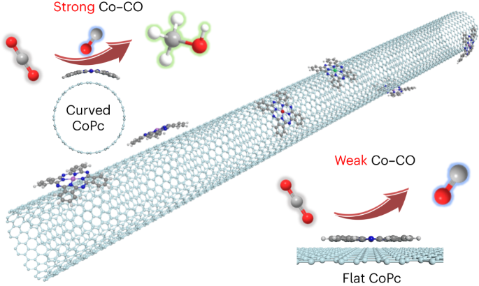 Strain Enhances The Activity Of Molecular Electrocatalysts Via Carbon