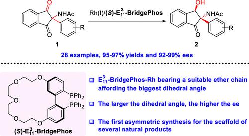 Rh Catalyzed Enantioselective Desymmetric Hydrogenation of α Acetamido