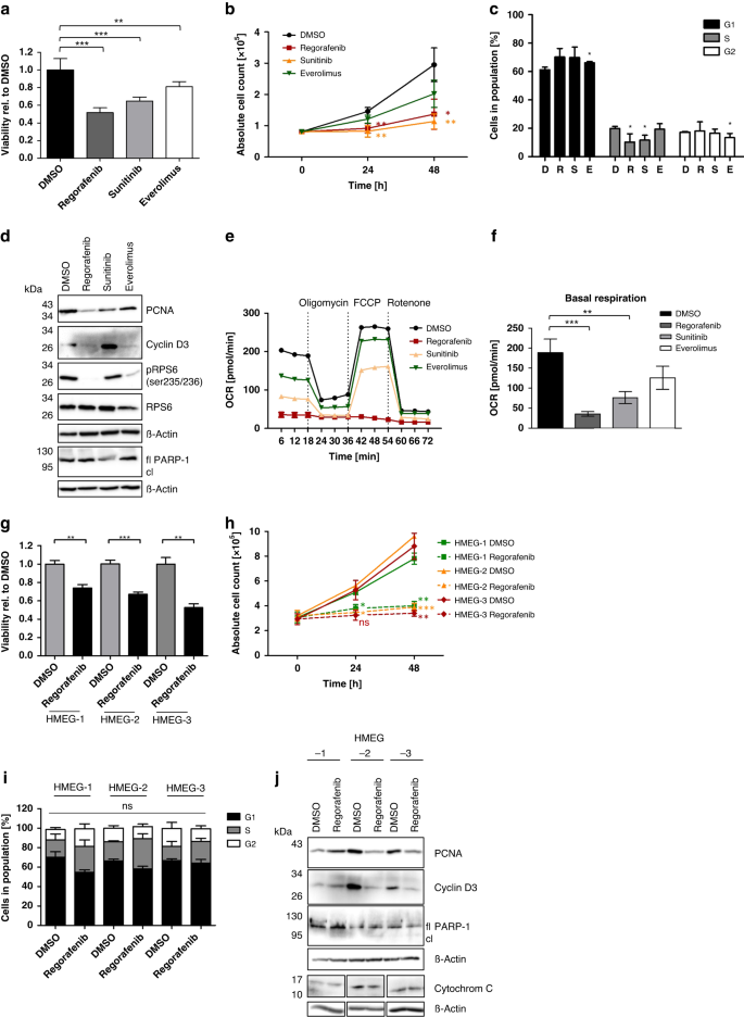 Anti Angiogenic Therapy Using The Multi Tyrosine Kinase Inhibitor