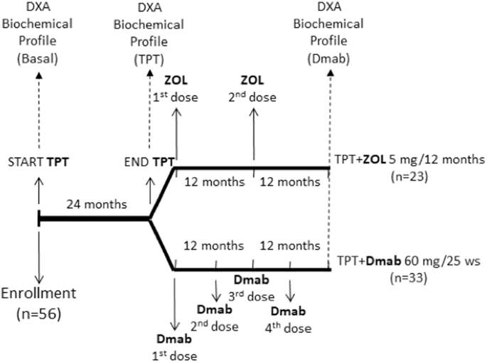 Efficacy Of Switching From Teriparatide To Zoledronic Acid Or Denosumab