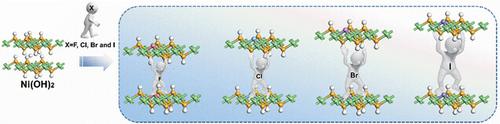 Series Of Halogen Engineered Ni OH 2 Nanosheet For Pseudocapacitive