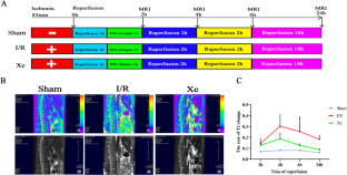 Xenon Postconditioning Attenuates Neuronal Injury After Spinal Cord