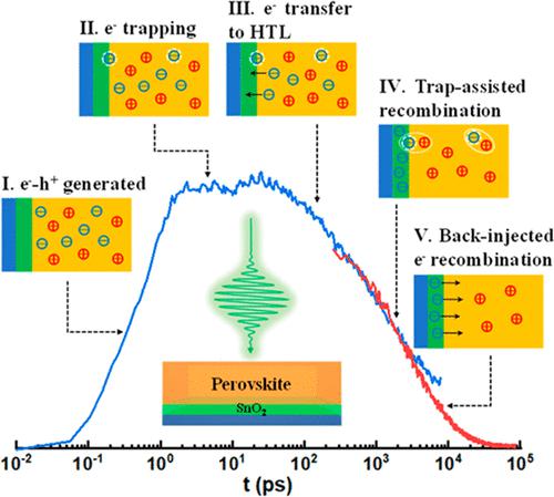 Revealing Charge Transfer Dynamics At Buried Charge Selective