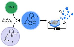 In Situ Assembly Of Nickel Based Ultrathin Catalyst Film For Water