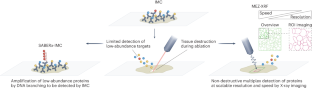 Advancing Multiplexed Imaging For Enhanced Tissue Complexity Analysis