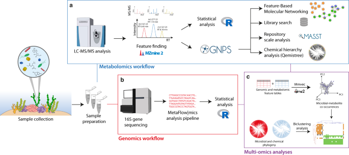 Microbiomes And Metabolomes Of Dominant Coral Reef Primary Producers