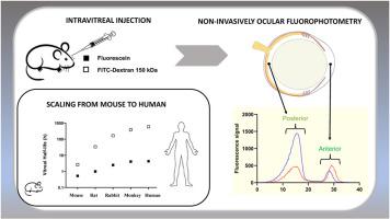 小鼠玻璃体内定量药代动力学作为跨物种翻译的一步 Experimental Eye Research X MOL