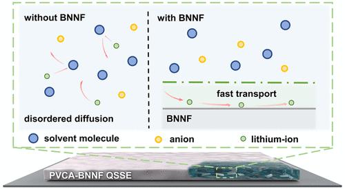 Fast Lithium Ion Transport Pathways Constructed By Two Dimensional