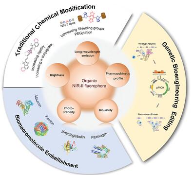 Orchestrated Strategies For Developing Fluorophores For NIR II Imaging