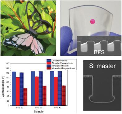 Rational Design And Fabrication Method For Bioinspired Directional