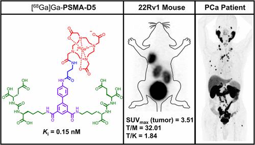 Synthesis Preclinical Evaluation And First In Human Pet Study Of