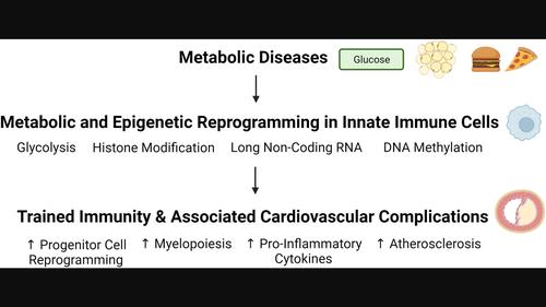 Trained Immunity In Diabetes And Hyperlipidemia Emerging Opportunities