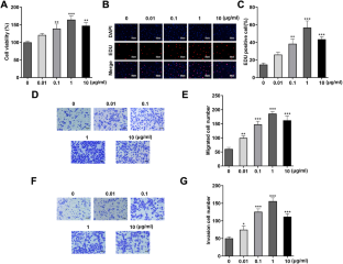 Propofol Promoted The Cell Growth And Epithelial Mesenchymal