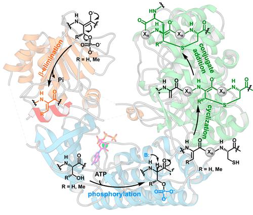 Structure And Function Of A Class Iii Metal Independent Lanthipeptide