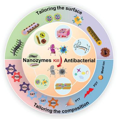 Tailoring The Surface And Composition Of Nanozymes For Enhanced