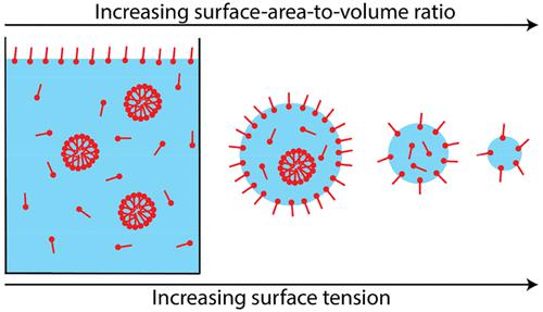 Surface Area To Volume Ratio Determines Surface Tensions In Microscopic