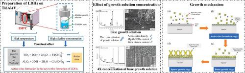 In Situ Growth And Mechanism Of MgAl NO3 LDHs Film On Ti6Al4V Via One