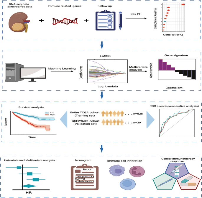 A Novel Immune Related Gene Signature For Predicting Immunotherapy