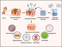 Functional Hydrogel Based Wound Dressings A Review On Biocompatibility