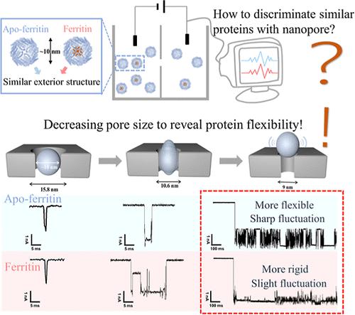 Solid State Nanopore Distinguishes Ferritin And Apo Ferritin With