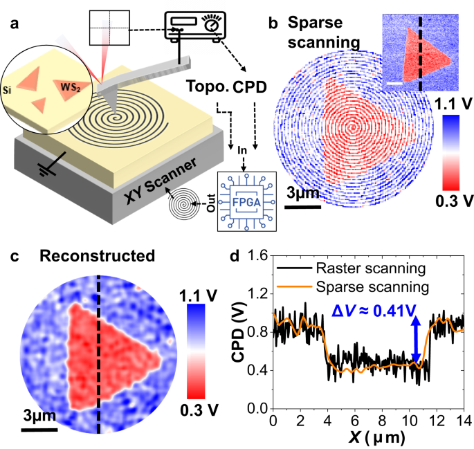 High Speed Mapping Of Surface Charge Dynamics Using Sparse Scanning