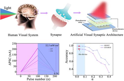 Acs Applied Materials Interfaces X Mol