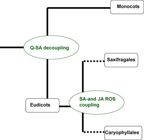 In Situ Electrochemical Monitoring Of Signaling Transduction In Plants