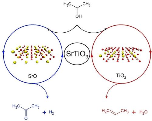 A Theoretical Study On The Mechanisms Involved In Catalytic