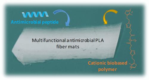 多功能PLA纤维中抗菌肽与阳离子聚衣康酸酯的协同组合 ACS Applied Bio Materials X MOL