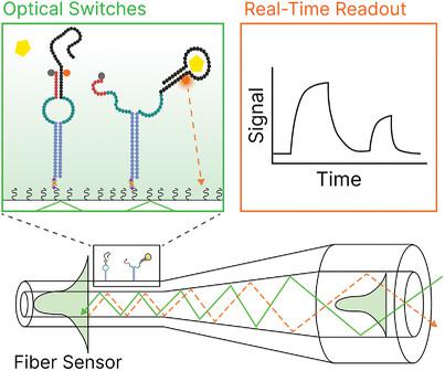 Modular Aptamer Switches For The Continuous Optical Detection Of Small