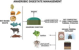 用于碳中和和肥料使用的厌氧消化物管理当前实践和未来机遇的回顾 Biomass Bioenergy X MOL