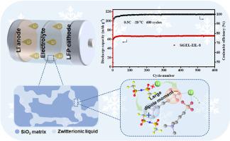 Zwitterionic Liquid Based Gel Electrolyte For High Performance Lithium