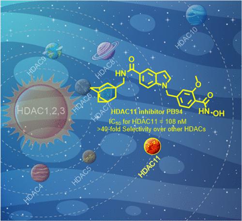 Development And Pharmacochemical Characterization Discover A Novel