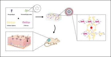 Tetramethylpyrazine Loaded Liposomes Surrounded By Hydrogel Based On