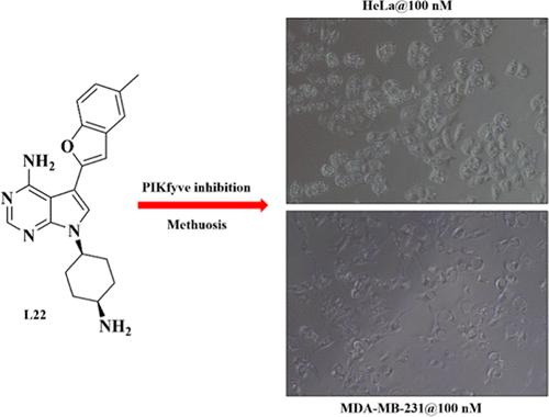 Discovery Of Potent And Selective Phosphatidylinositol 3 Phosphate 5