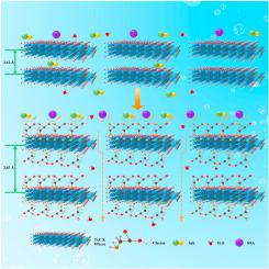 Amino Acid Bonded Ti3C2Tx MXene Nanofiltration Membranes With Superior