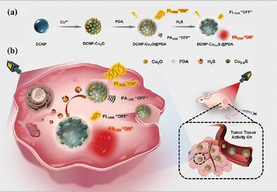 Activatable Nanoprobes For Dual Modal Nir Ii Photoacoustic And