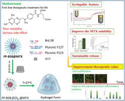 Syringeable Hydrogel Based Cyclodextrin And Mixed Micelles For