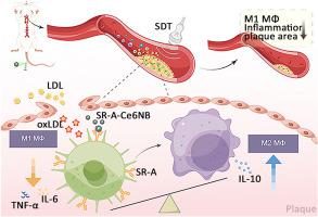 M M Atherosclerosis X Mol