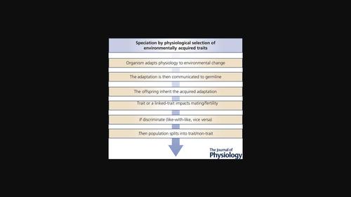 The Journal Of Physiology X Mol