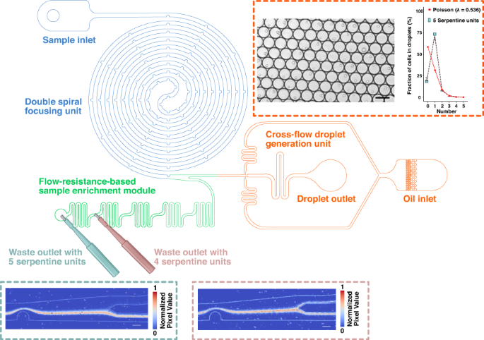 Enhancing Single Cell Encapsulation In Droplet Microfluidics With Fine