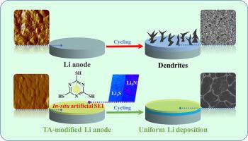 In Situ Construction Of Robust Artificial Solid Electrolyte Interphase