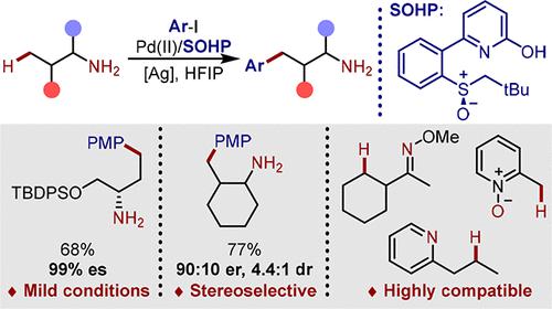 Ligand Enabled Palladium Ii Catalyzed C Sp H Arylation Of Primary