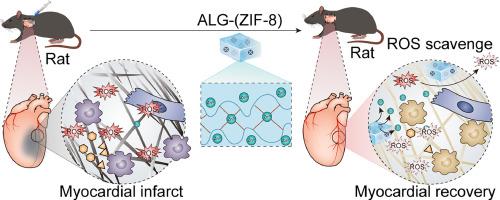 Design Of A Zn Based Nanozyme Injectable Multifunctional Hydrogel With