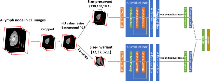 Development And Validation Of A 3D Resnet Model For Prediction Of Lymph