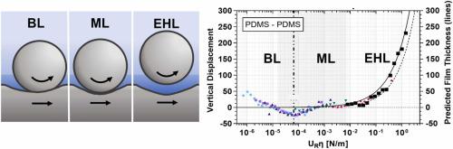 Substrate And Fluid Film Mechanics In Rolling Sliding Soft Contact