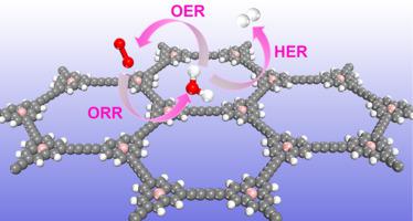 Novel Two Dimensional Boron Centered Graphdiyne Analogue As