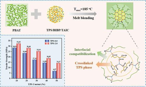 Enhancing The Mechanical Properties Of PBAT Thermoplastic Starch TPS