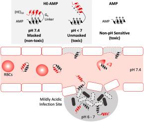 pH 敏感抗菌肽在弱酸性微环境中具有靶向活性 Journal of Drug Delivery Science and Technology