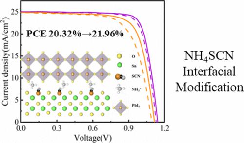 Ammonium Thiocyanate Enhanced High Performance Quasi Two Dimensional